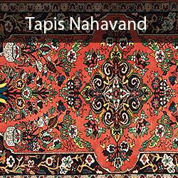 Tapis persan - Tapis Nahavand